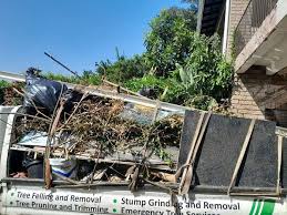 Best Recycling Services for Junk  in Cibecue, AZ