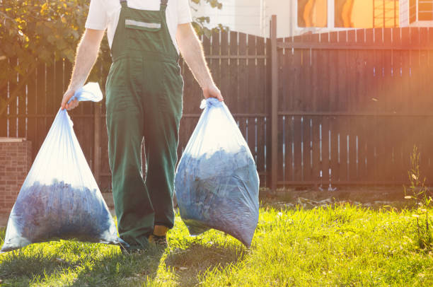 Best Recycling Services for Junk  in Cibecue, AZ